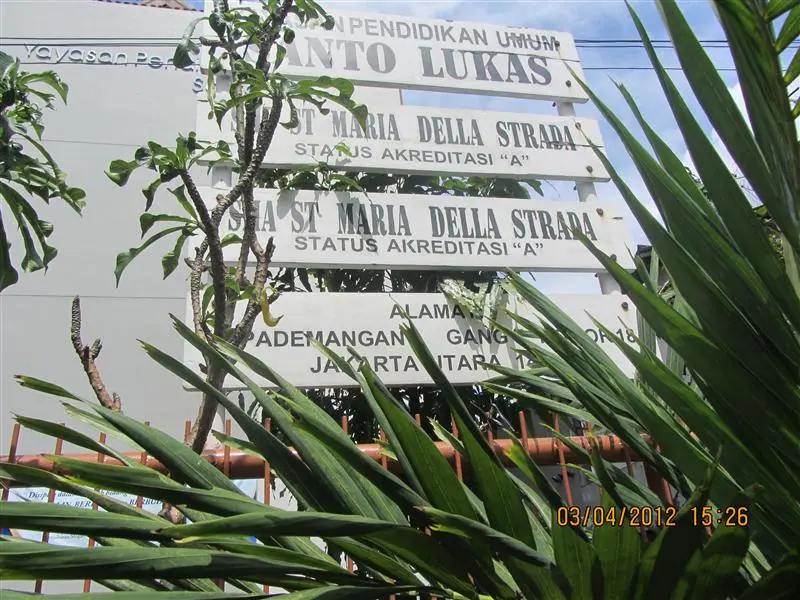SMAS ST MARIA DELLA STRADA