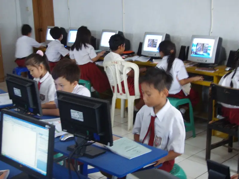 Foto Mawar Saron Taman Cibodas