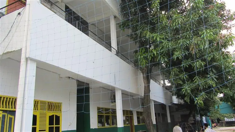 Foto SDYASIR